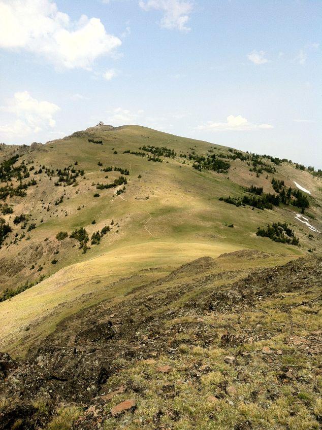 Spur trail up to Mount Washburn summit